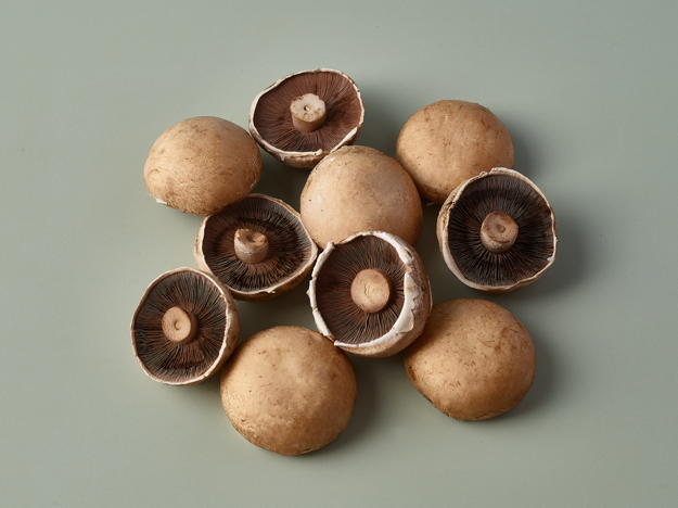 Portabellini Small
