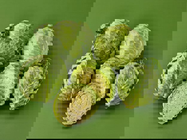 Cabbage (2)