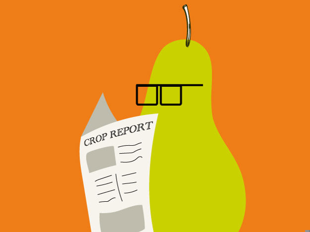 Crop Report (1)