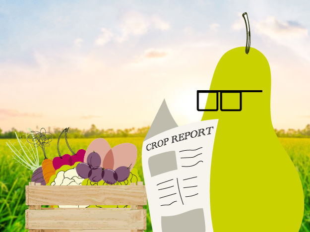 Crop Report (1)