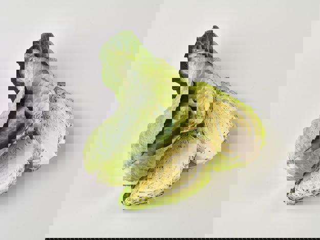 Sweetheart Cabbage Pointed Hispi