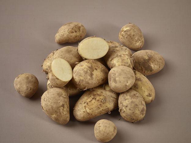 New Jersey Potatoes