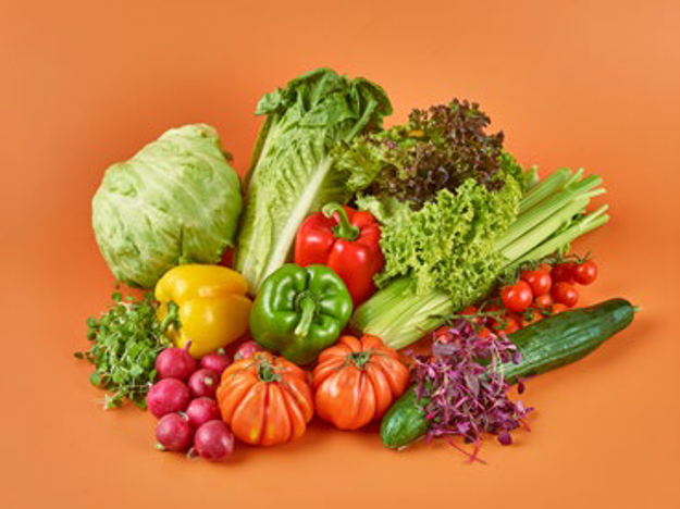Salad