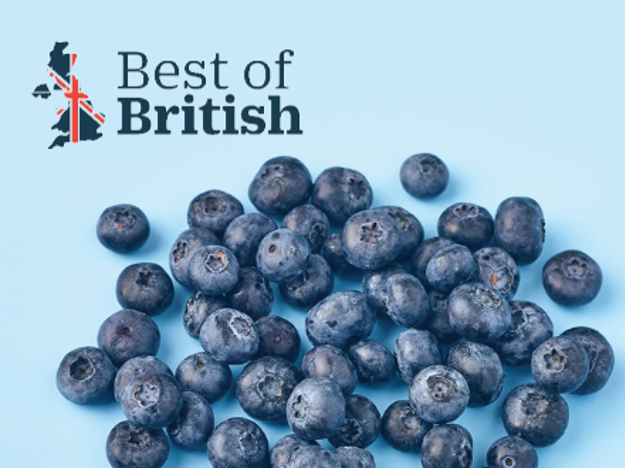 BOB Blueberries