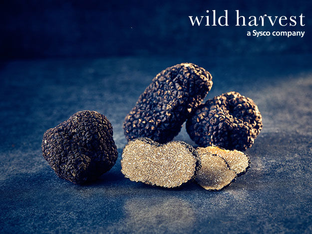 Wild Harvest Specialist Business Images