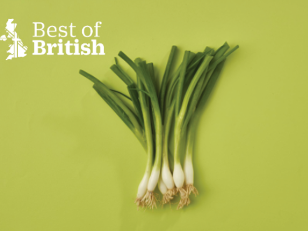 BOB Spring Onion