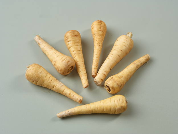 Parsnips Brakes 124176 & 10343 FD 3755 Small1
