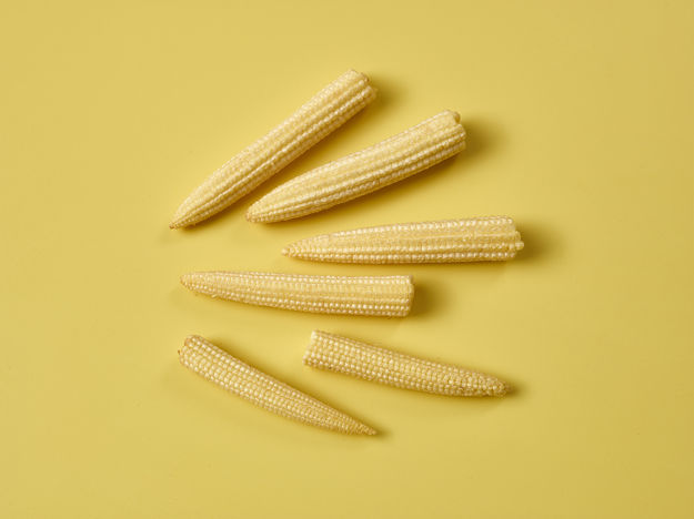 Baby Corn Brakes 10374 FD 33161